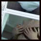 sexovirtual